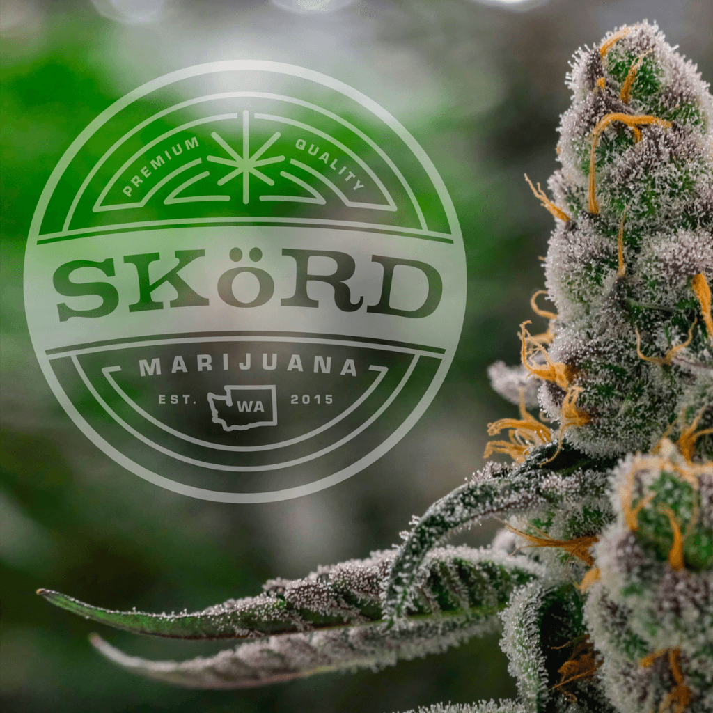 SinMint Sundae · Flower · 3.5g