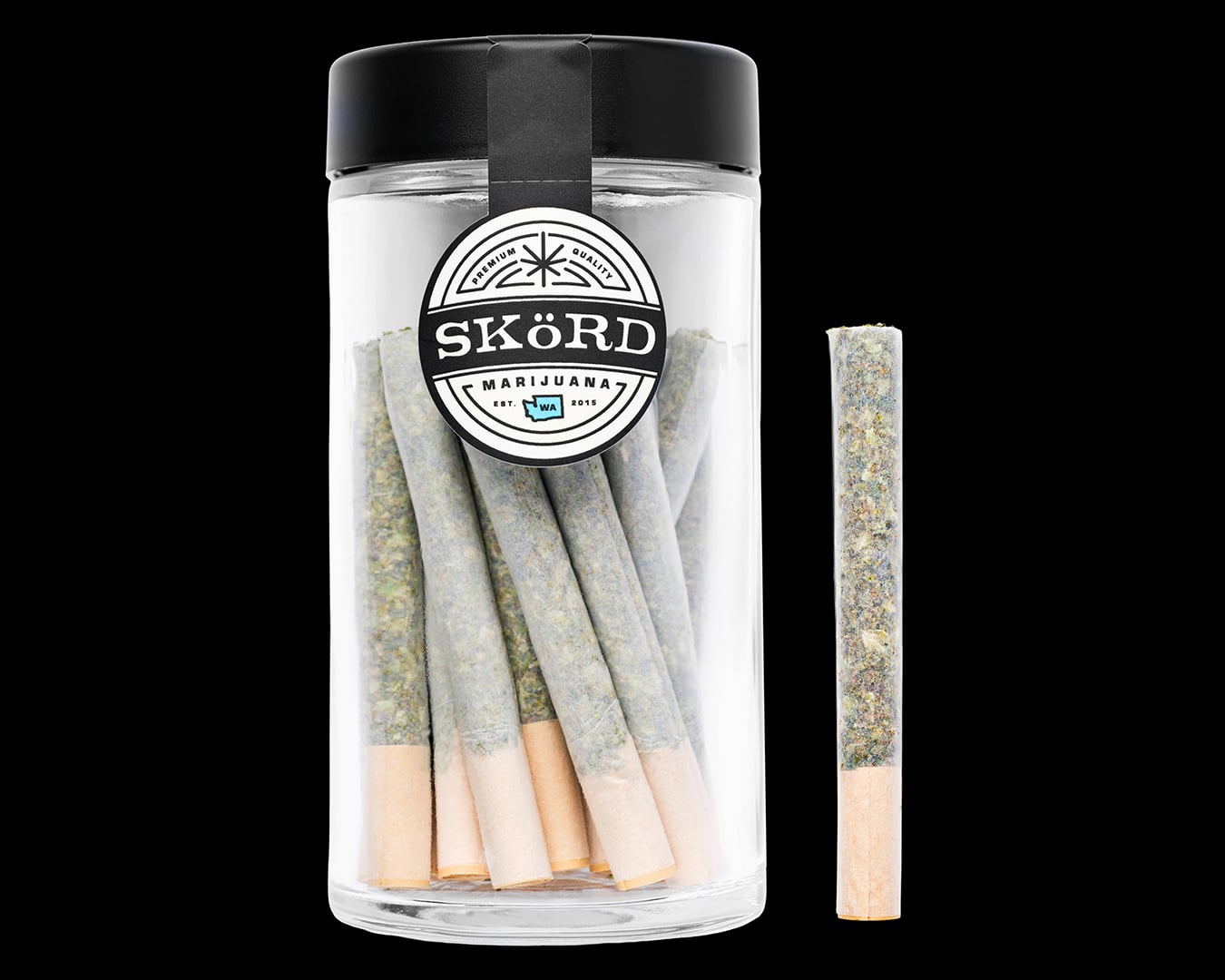 Modern Muse · Pre-Roll · 5 Pack
